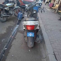 سكنس فحل كوري للبيع التفاصيل خاص 07729492535