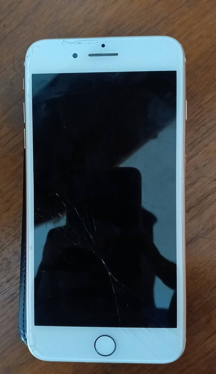 ايفون 8 للبيع مكاني الدوره سعره 100


**إذا كنت صاحب هذا الإعلان وتريد حذفه لأي سبب، رجاءا أرسل رسالة إلى الدعم الفني**