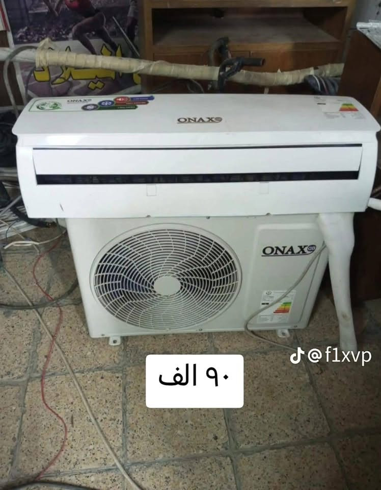 ‭***********‬
