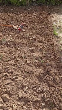 تنظيف حدائق 🪴🌻 تجهيز حدائق 🌷وديكورات حدائق ⛲ للتوأصل وأتساب  078558414...