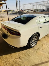 تشارجر SXT • موديل ٢٠٢٢ • رقم بغداد