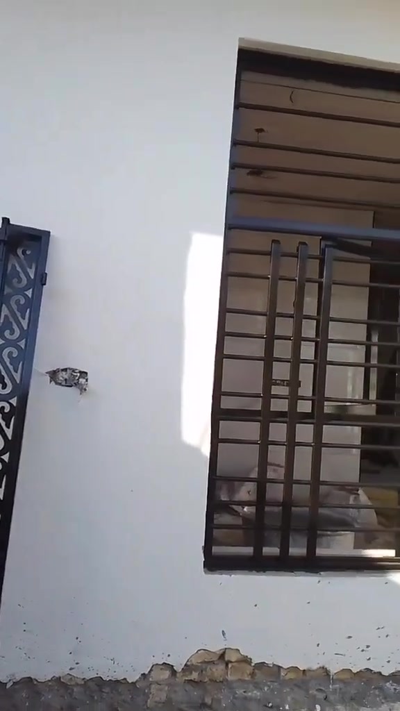 سلام عليكم متابعينا الكرام جانب من اعمالنه عرض خاص بالاسعار صبغ الواجهيات ولحديد بيبان شبابيك بابل لتواصل ***********

