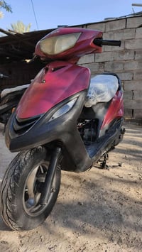 دراجه ثعلب • خير من الله • سكندريه حصوه