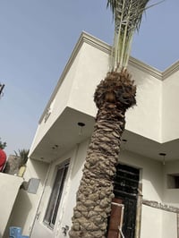 خدمات بابل • عمل