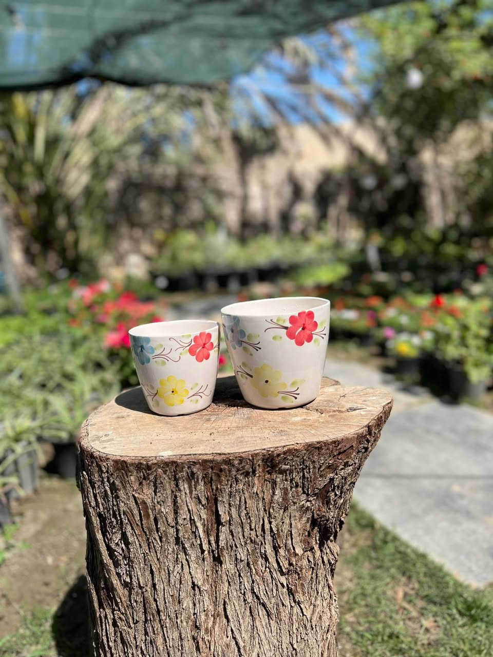 سندانه سيراميك سعر الوحده ٣ تاخذين ثنين ب٥ 
تجنن 🙃💚


**إذا كنت صاحب هذا الإعلان وتريد حذفه لأي سبب، رجاءا أرسل رسالة إلى الدعم الفني**