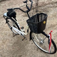 عجلة • كركوك