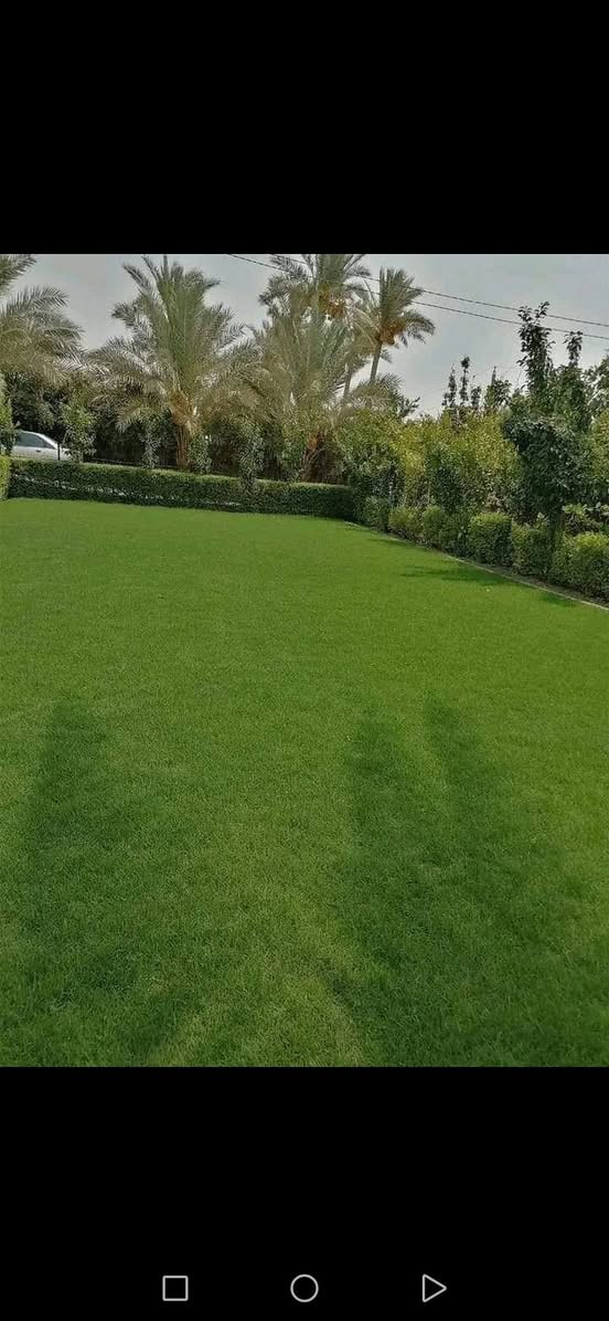 يوجد لدينا ثيل هندي سعر المتر المربع ٣٠٠٠ الف والتوصيل مجاني للتواصل واتساب ماسنجر اتصال ***********
