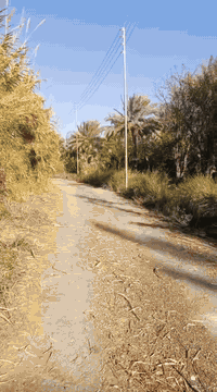 الجعارة المدائن • دونم ١٠٠٠م • واجهة ٢٩م