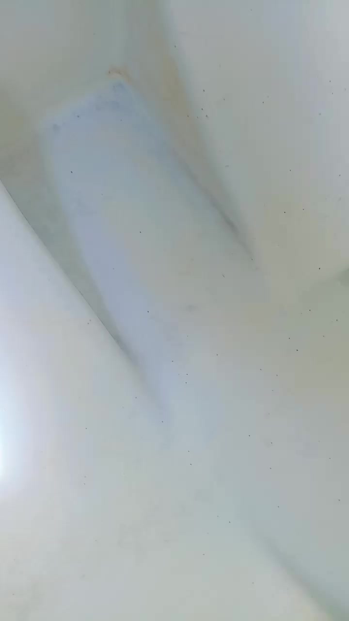 مستعد  للتنظيف تانكي او خزان  ماء  صحيات والحمامات البيوت  من اوساخ واترسبات وغسل التانكي من الداخل ب صوره جيدا 
كل هذا شغل ب 10الف دينار لخزان الواحد 
وصوره تتكلم 👇 اني اجيك للبيت  للتواصل اتصال ***********
