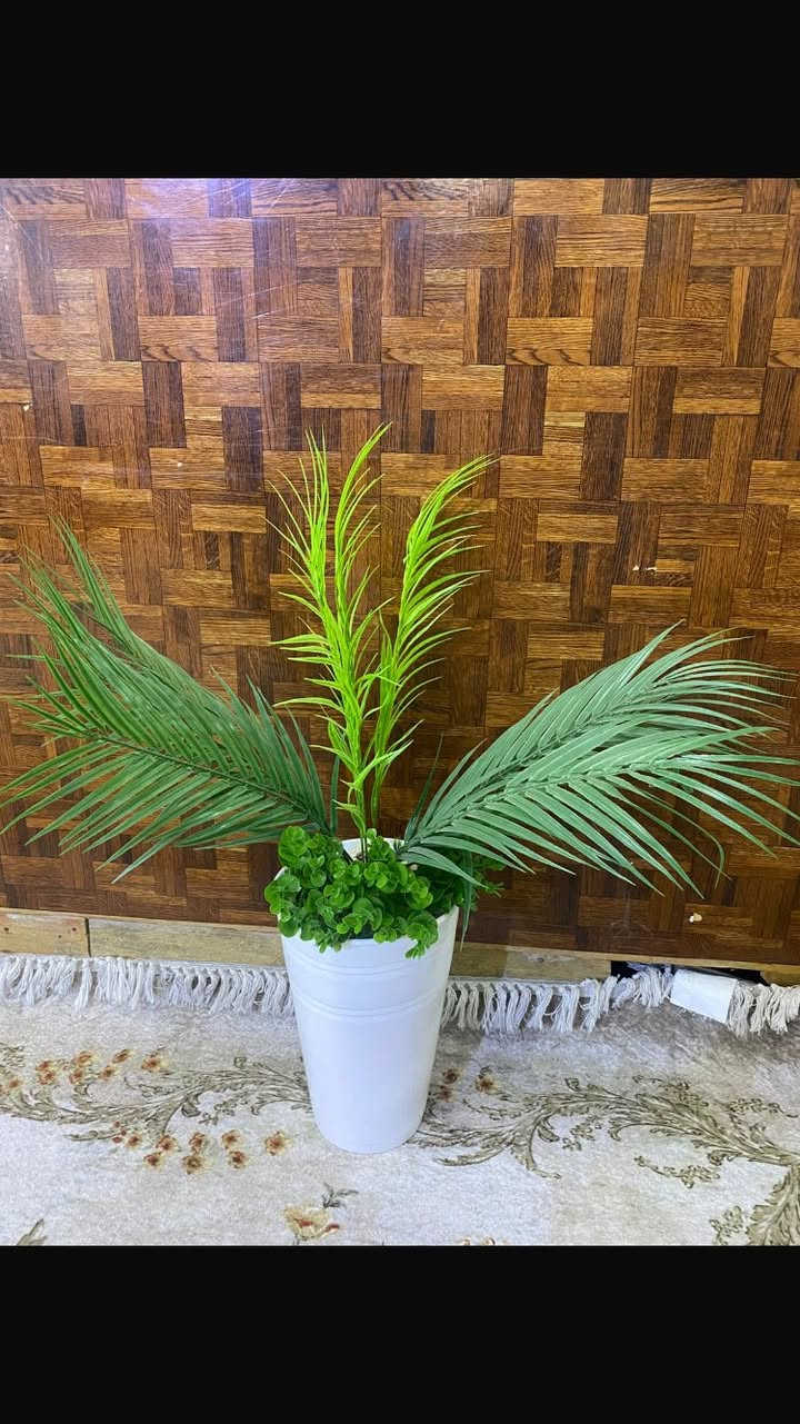 مرحبا مكلفه بالنشر ٤ سنادين اصطناعيه للبيع جديدات استخدام شهر


**إذا كنت صاحب هذا الإعلان وتريد حذفه لأي سبب، رجاءا أرسل رسالة إلى الدعم الفني**