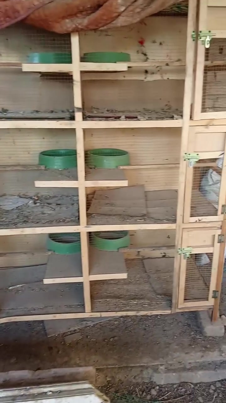 خانات نظيف جدا استعمال 3 يوم فقط جديد
مركز الحله


**إذا كنت صاحب هذا الإعلان وتريد حذفه لأي سبب، رجاءا أرسل رسالة إلى الدعم الفني**