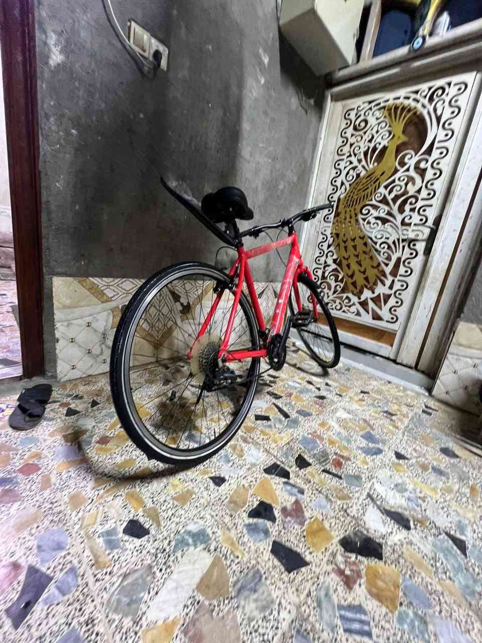 سلام عليكم 
بيسكل درجه وآله 
مال سباق وروحه بي الزياره 
امريكي الصنع بدالت وره وكدام 
سعر قفل 200


**إذا كنت صاحب هذا الإعلان وتريد حذفه لأي سبب، رجاءا أرسل رسالة إلى الدعم الفني**