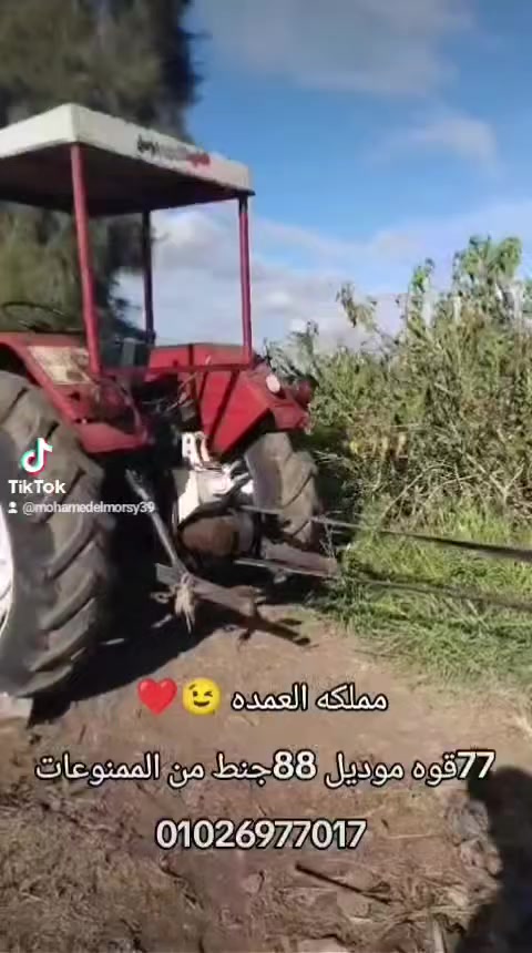 #ممنوعات_العمده_للمزاج_العالي_وبس
#حته_77قوه_موديل88جنط_من_الممنوعات 
العنوان كفر الشيخ بيلا الجرايده 01026977017


**إذا كنت صاحب هذا الإعلان وتريد حذفه لأي سبب، رجاءا أرسل رسالة إلى الدعم الفني**