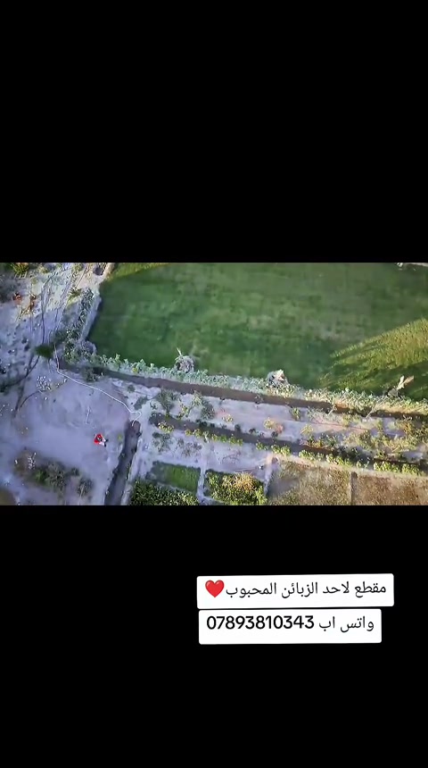 #درونات #الشعب_الصيني_ماله_حل😂😂 #ميسان_ذي_قار_البصرة_بغداد #العراق🇮🇶 #المحافظات_العراقية 


**إذا كنت صاحب هذا الإعلان وتريد حذفه لأي سبب، رجاءا أرسل رسالة إلى الدعم الفني**