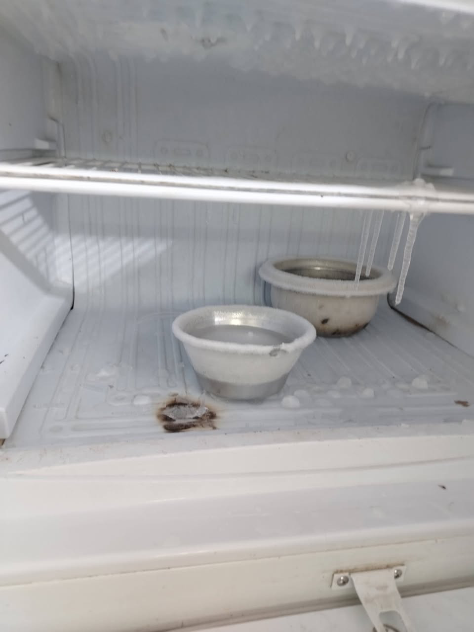 للبيع ثلاجه ب250 وبيهه مجال


**إذا كنت صاحب هذا الإعلان وتريد حذفه لأي سبب، رجاءا أرسل رسالة إلى الدعم الفني**