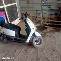 بوليسي • جاهزة • اشاير