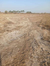 دونم • حجة طابو • مقابل الجوهرة