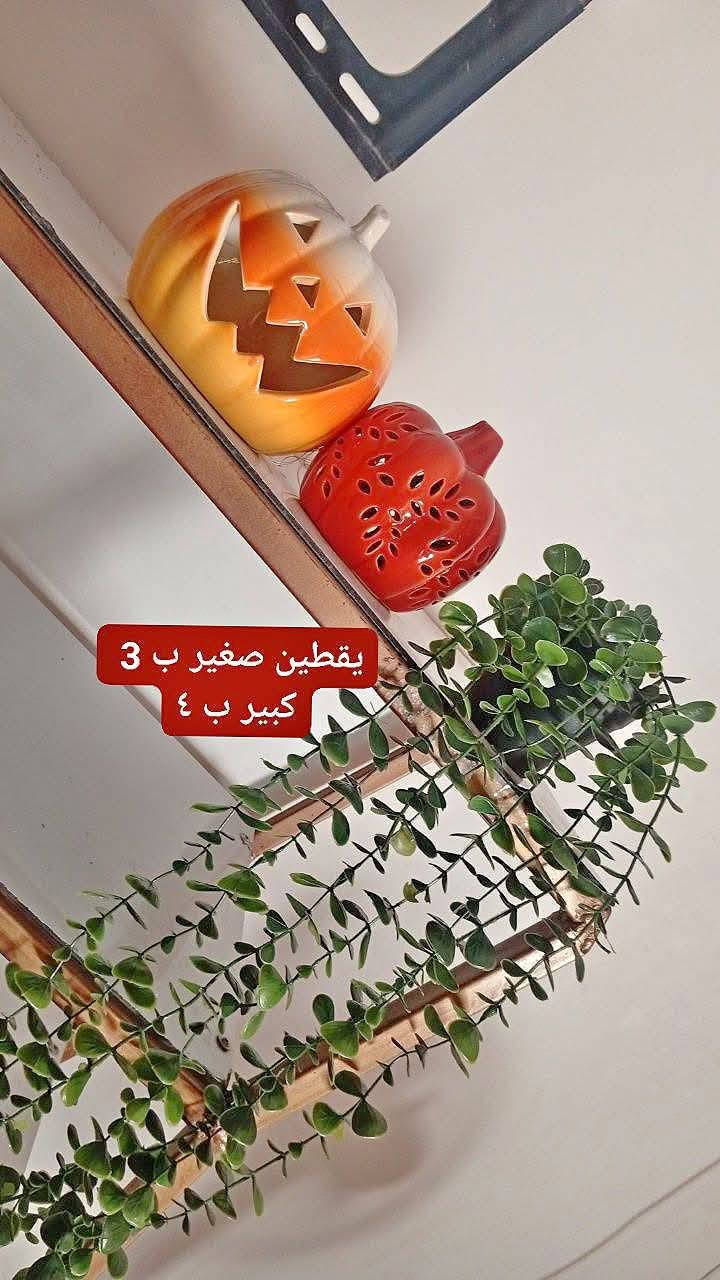 عروض اليوم 💚 
تخفيضات 📢 
يوجد توصيل داخل العزيزيه 🚗


**إذا كنت صاحب هذا الإعلان وتريد حذفه لأي سبب، رجاءا أرسل رسالة إلى الدعم الفني**