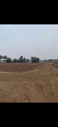 قرية المراسمة • ٢ دونم زراعي • سند ٢٥