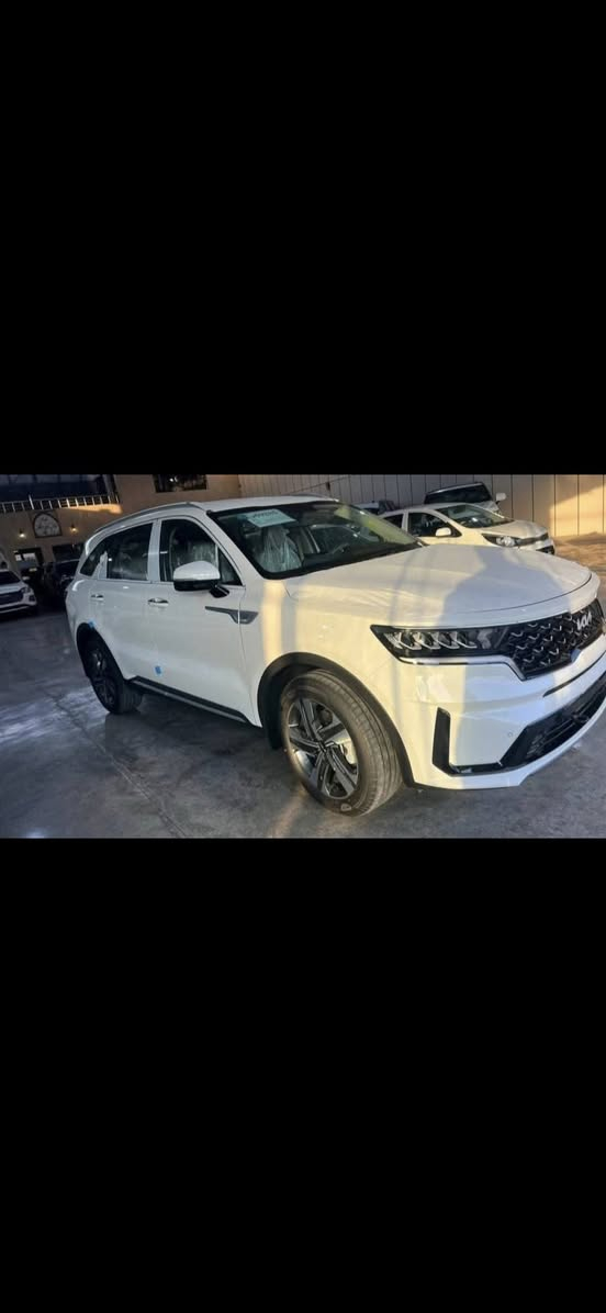 سورنتو 2023 عدا رصعه جديده جداا رقم بغداد دولي 6سلندر ضمان الضركة الدولية العراقية بصمه تشغيل عن بعد كير ماوس اريل نفيكيشن جي بي اس شاشاه كبيره سايد بريك بصمه كشنات كلهن كهرباء لايت ٤ عدسات جنطة كهرباء السياره جديده فقط (للجناي) العنوان الفلوجة السعر 305  ماشيه 28 ***********
