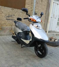 سبيسي ياباني • كفاله عامه • كوت الفلاحيه