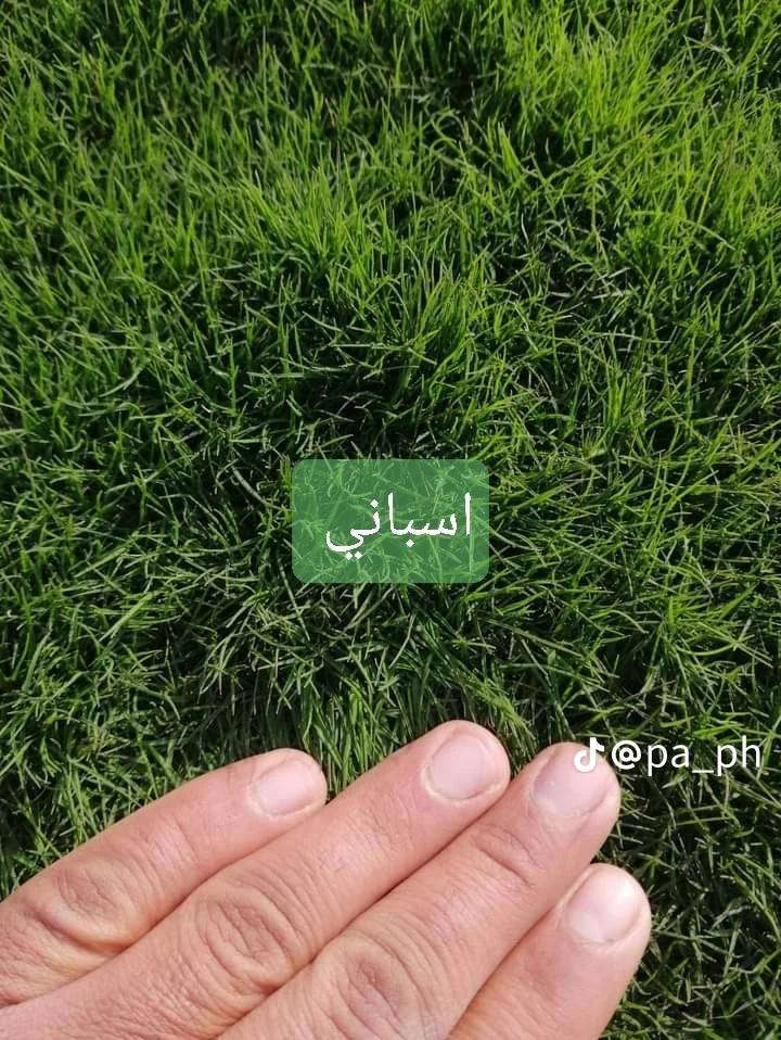 ثيل ديالى الطبيعي درجه اولى توصيل جميع المحافظات العراق بكافه الانواع لاتصال على الرقم تالي ***********او ***********
