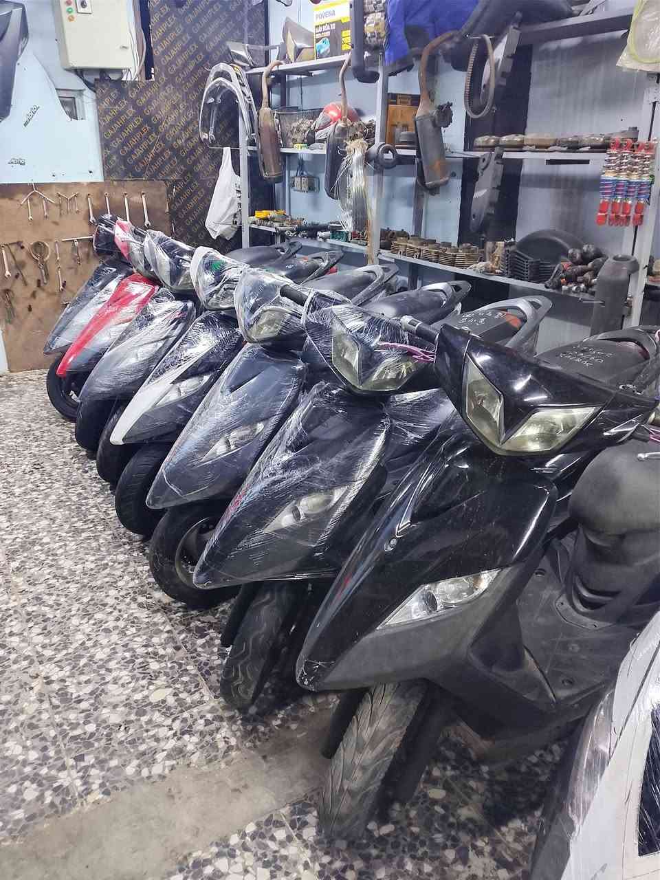 ماكس ثعلب رنبة شرط
بيع شلع عدد 10 تواصل ***********
