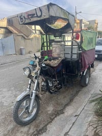 ستوته • فحل عالي • بدون جنج