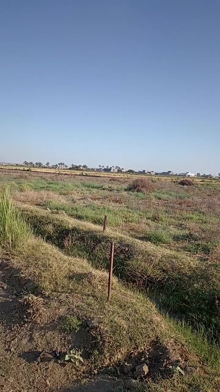 قطعه ارض المساحه ١٣٠٠ متر تبعد عن الشط ١٠٠ متر واصله كافه الخدمات
ارض زراعيه الي تصلح مزرعه مكان مميز نوع العقار زراعي سند ٢٥ العنوان جويبه النساف البوبالي الشاميه الويبد وبسعر جدآ مناسب لاستفسار اكثر *********** حارث مؤيد
