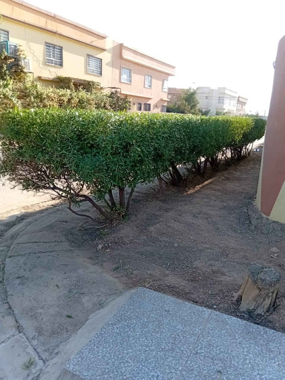 حديقجي في اربيل + تصميم وترتيب ديكورات 
زرع حدائق + أدامه شهريه+ زرع اشجار + تقليم الأشجار +قص ثيل 
تنظيف وترتيب الحدائق + قلب وتنظيف تربه ترتيب +
تبديل تربه + ترتيب سياج الحدائق بل الملون 
ترتيب اطارات الحدائق بل حصو الملون الاستفسار 

واتساب ***********
