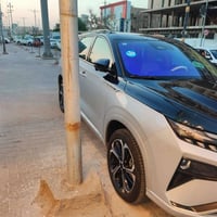 دونك فينك • هايبرد • رقم اربيل