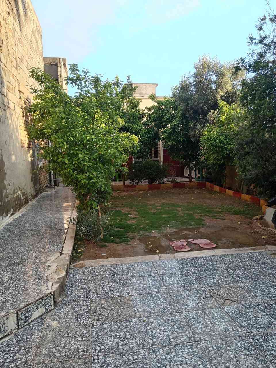 سلام وعليكم  بيت للبيع مساحه 300   بغدادابوغريب ابو منيصيرحي الكرامه مقابيل قطع الديوان ثاني قطعه عن الحولي   يحتوي علا حديقه 100متر 
يحتوي علا اربع غرف 
غرفه 4×5
غرفه4×5
غرفه 3×5
غرفه 5×6 
ستقبال 4×7ونص 
صحيات خارجه 
صحيات داخليه 
الاستفسار _ *********** واتساب
الرقم الثاني _*********** واتساب
