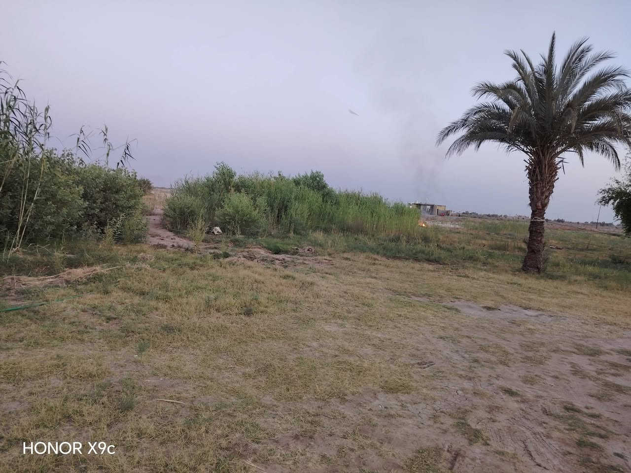 بسم الله الرحمن الرحيم 
4 دوانم مع بيت للبيع
 صوب بني ركاب 
/طريق المشايه/شارع ال بريع (التبليط) 
خدمات /ماء/ كهرباء/ ماء سقي وماء اسألة 
دوانم مزرعة اشجار فواكه ونخيل
السعر 75وبيه مجالبسيط 
للتواصل الاتصال على الارقام 
***********
***********
او مراسلة الصفحه 
#هادي_الحجيمي
