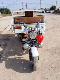 ستوته • مديل 22 • فول أوراق