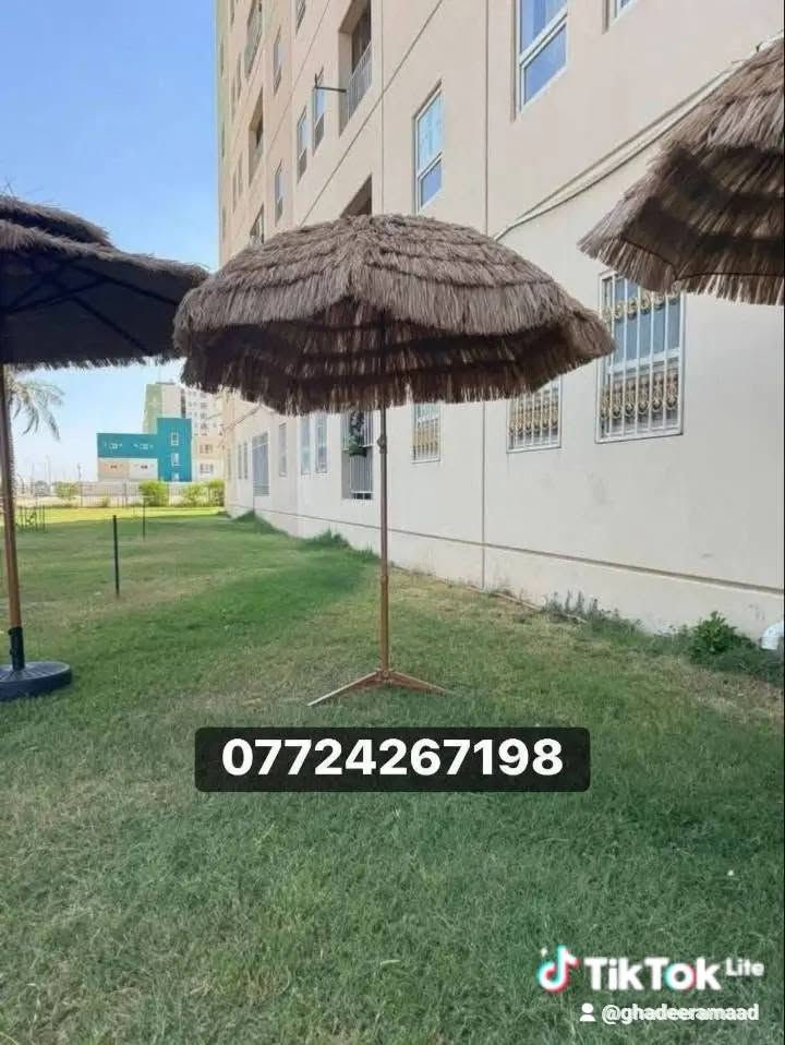 *********** قصب
