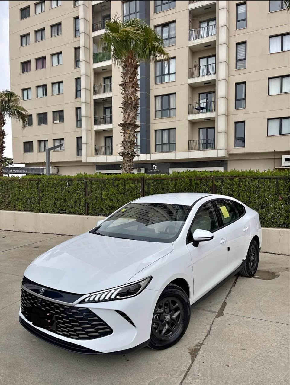 السلام عليكم 
Byd qin plus 
موديل 2025 
ماشية السياره 8 الاف 
السياره مرقمه رقم جاهز 
شرط التحويل والغرامات 
كامل غراضها معاها السياره من الدعاميه للدعاميه بشرط 
سعر السياره 124 وبيها مجال 
مكانها اربيل 
——————————————————————
 السلام عليكم 
Byd qin plus 
موديل 2025 
ره قه م جايزه 
بناوكردن وغرامه به شرته 
سياره زوور خاوين وباوين مايته وه 
سياره كه بو فروشتنه كورينه وه ناكه م 
كامل اشيا له كه له 
8 هزار رويشتيه 
سعرى 124 ومعمله 
سياره كه له هوليره أربيل, العراق


**إذا كنت صاحب هذا الإعلان وتريد حذفه لأي سبب، رجاءا أرسل رسالة إلى الدعم الفني**