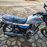 دايون • بدون أوراق • كربلاء طويريج