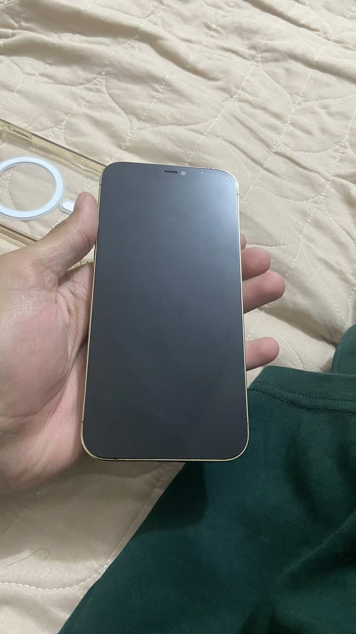 iPhone 12 pro max 128G مراوس فقط


**إذا كنت صاحب هذا الإعلان وتريد حذفه لأي سبب، رجاءا أرسل رسالة إلى الدعم الفني**