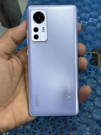 شومي 12 • ٢٥٦/١٢ • سنابدراجون ٨ جن ١