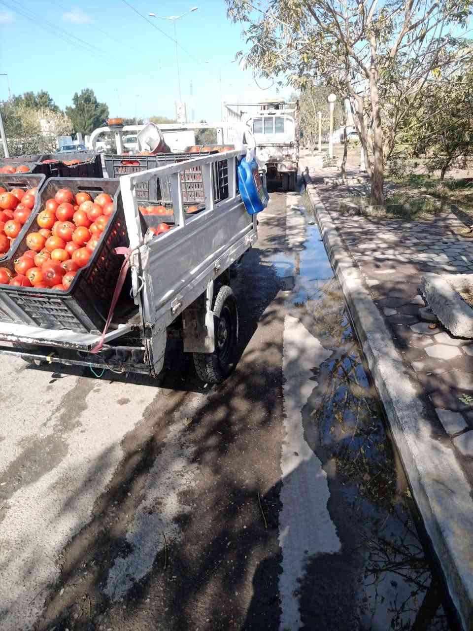 السلام عليكم ستوته امتيار 2017 شاصي مقفول اكسل جديد ماكينه نظيفه تخم تاير جديدتجاهزه اوراق اصوليه سعر 650 العنوان المدائن سلمان باك رقم الهاتف***********
