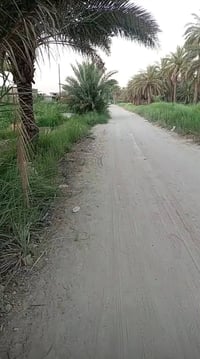 5 دونم للبيع الموقع اللطيفيه كليو/18 خلف محطة الاسراء  خدمات ماء سقي +...