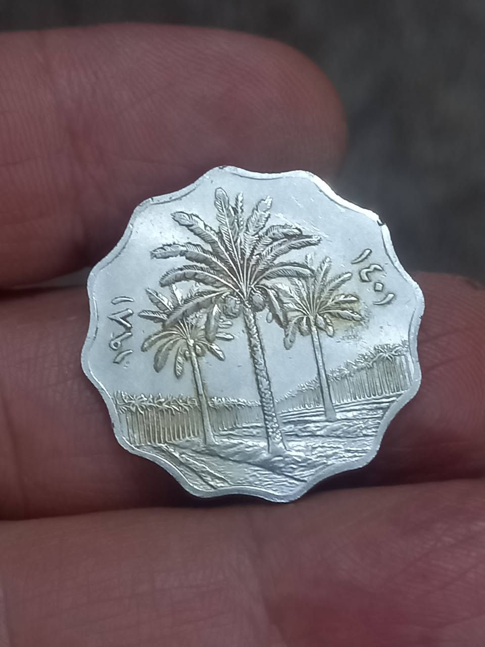 ٦قطع عراقي مختلف نظافات جيده بيع مباشر ١٠الف للكل


**إذا كنت صاحب هذا الإعلان وتريد حذفه لأي سبب، رجاءا أرسل رسالة إلى الدعم الفني**