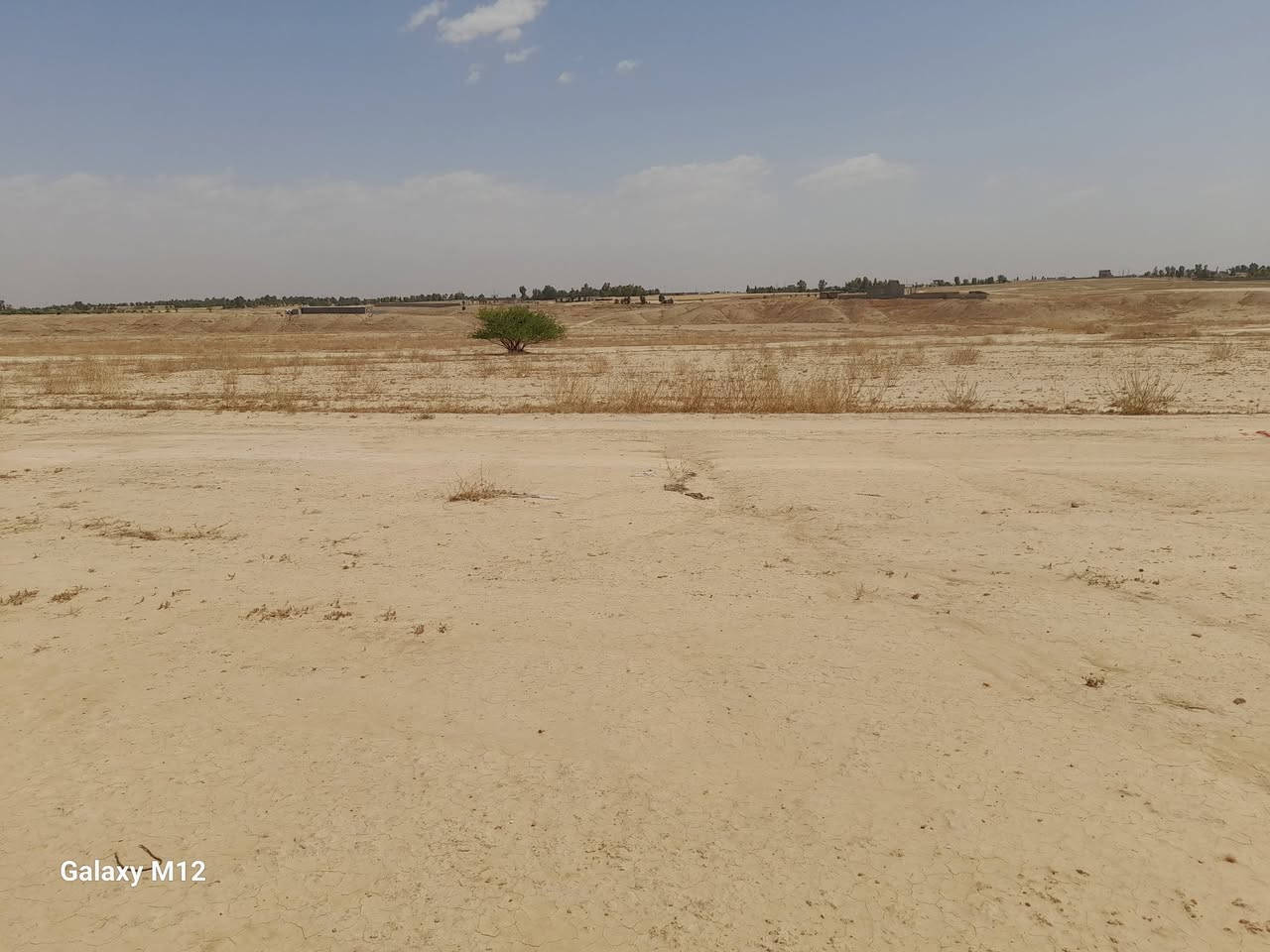 أرض سند شرط التحويل من دائرة العقاري بالشرگاط  مساحتها 9 دوانم ونص ///// مع 4 دونم بور أميرية طبگها  موقع الأرض الشرگاط  برية بعاجة   للأستفسار عن السعر  اتصل على هذه الأرقام  ***********     ***********
