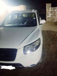 سنتافي • ٢٠١١ • اربيل