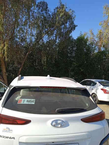 السلام عليكم
كونا ٢٣ خليجي..خليجي
رقم بغداد فول مواصفات..ماشية ٢٥ الف فقط.
السعر 175
***********
