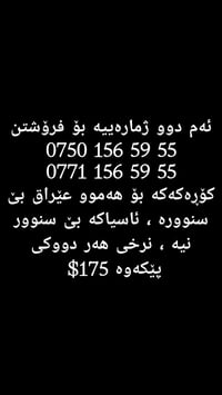 ئەم دوو ژمارەییە بۆ فرۆشتن 0750 156 59 55 0771 156 59 55 کۆڕەکەکه بۆ ه...