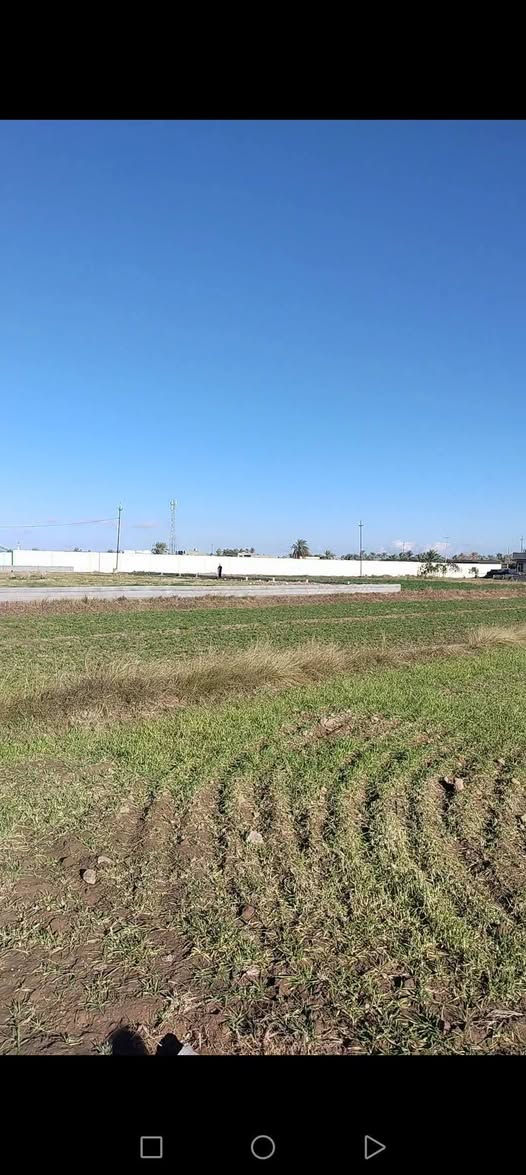 🌊 فرصة استثنائية لامتلاك أرض شاطئية نادرة في الفلوجة – النساف 🌊
إذا تبحث عن الهدوء، الطبيعة، والموقع الذهبي… هاي الأرض تجمع الكل 👌
📍 الموقع: الفلوجة – النساف
🌊 إطلالة مباشرة على الشط والسدّة
🌿 أجواء هادئة وطبيعة خلّابة
🌾 مجاورة لمزارع ومنطقة راقية
📐 المساحة: 5 دونم
📄 الطابو: سند 25
📏 واجهة مميزة: 81 متر
↔️ نزال: 150 متر
🏞️ واجهتان مميزتان:
✔️ وجه مباشر على السدّة
✔️ وجه مباشر على الشط
🛣️ الخدمات متوفرة بالكامل:
✔️ سدة تبليط
✔️ ماء
✔️ كهرباء
📌 قريبة جداً من الشارع العام
🏡 مثالية لبناء سكن راقٍ، استراحة، أو مشروع استثماري ناجح
💎 فرصة نادرة لا تتكرر بهذا الموقع المميز
📞 للاستفسار والاتصال:
📱 ***********
💬 دخول مباشر واتساب:
👉 https://wa.me/9647808911638
✨ لا تضيع الفرصة… موقع يجمع الطبيعة والقيمة الاستثمارية العالية ✨
