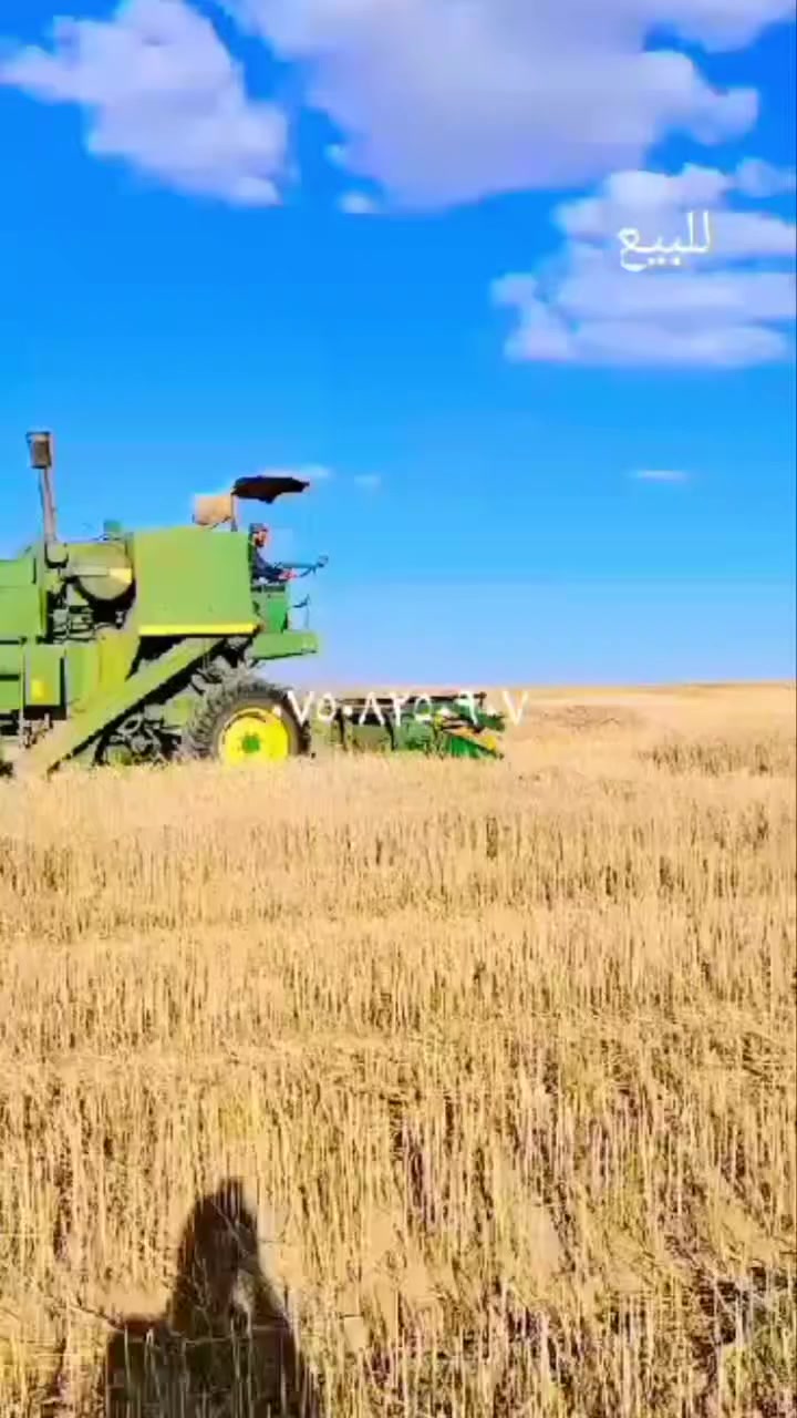 حاصدة جوندير للبيع
للاستفسار الاتصال على الرقم 
***********
