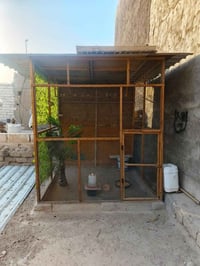 قفص • ٢×٢ • بصرة حيانية