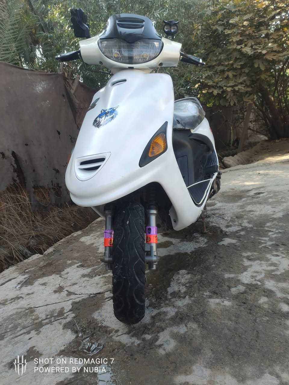 متاح فراشة نثية مكفولة مكينة بلادي مامفتوحة دبلات شغالة امامي خلفي سلف بلادي كابريتلر بلادي ملف بلادي گلجات بلادي صالنصة البلادية موجودة
..السعر 400 الرقم..
***********
